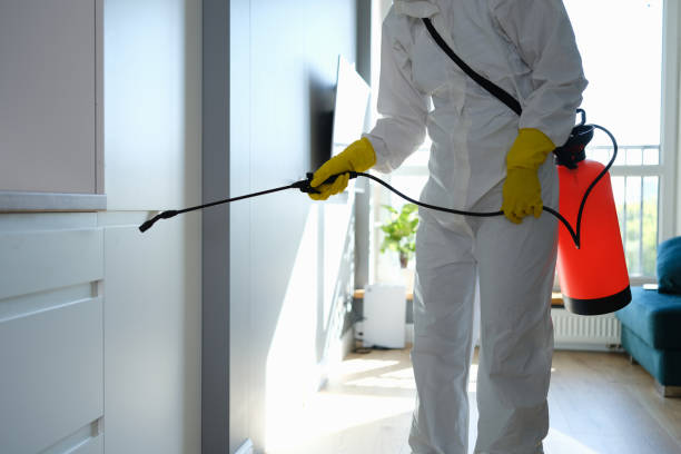 Best Professional Mold Removal  in Malvern, AR