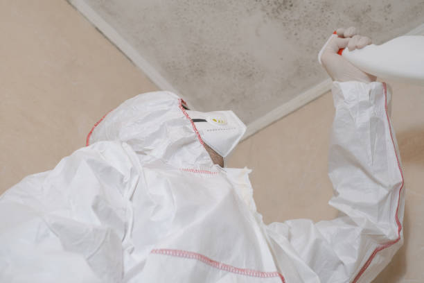 Best Best Mold Removal Companies  in Malvern, AR