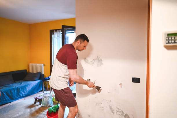 Best Water Damage Restoration  in Malvern, AR
